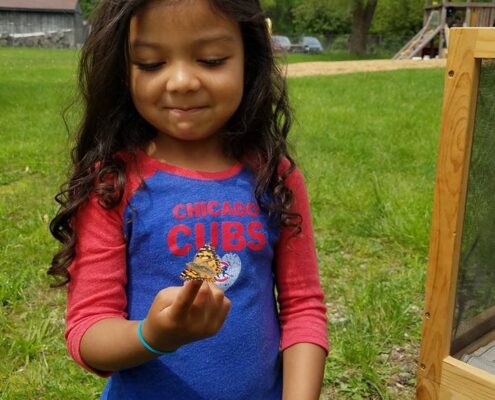 Preschooler admiring a butterfly.